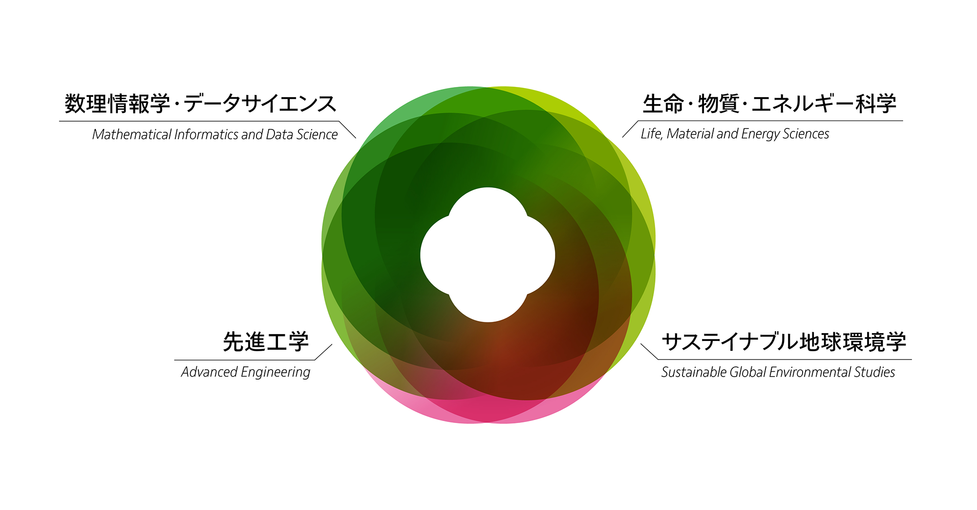 富山大学大学院理工学研究科博士後期課程の構成