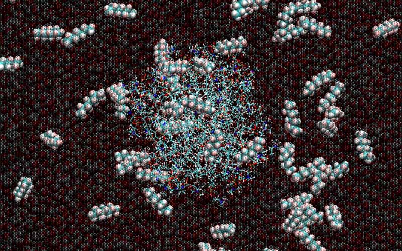 計算生体分子科学